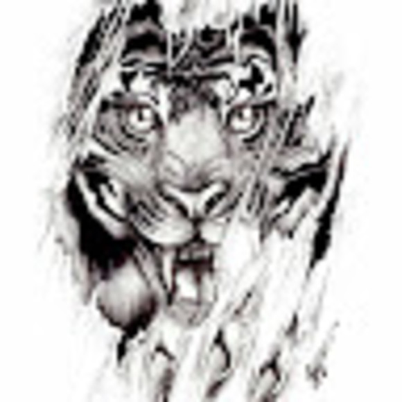 Meet your Posher, Fufu - Picture 1 of 1